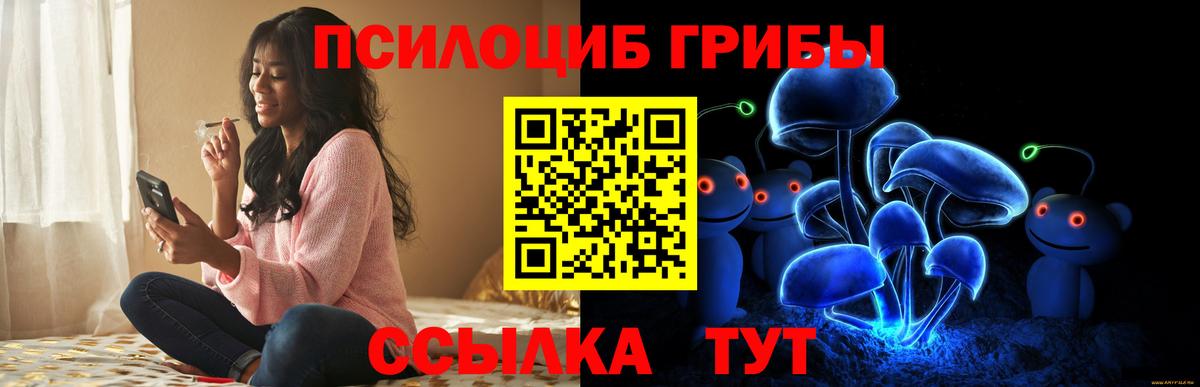 Новый Уренгой  Галлюциногенные грибы прущие грибы  Вход с VPN 